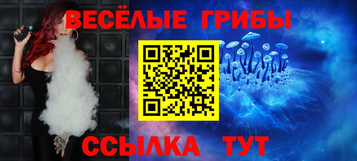 Галлюциногенные грибы Psilocybe Пушкино